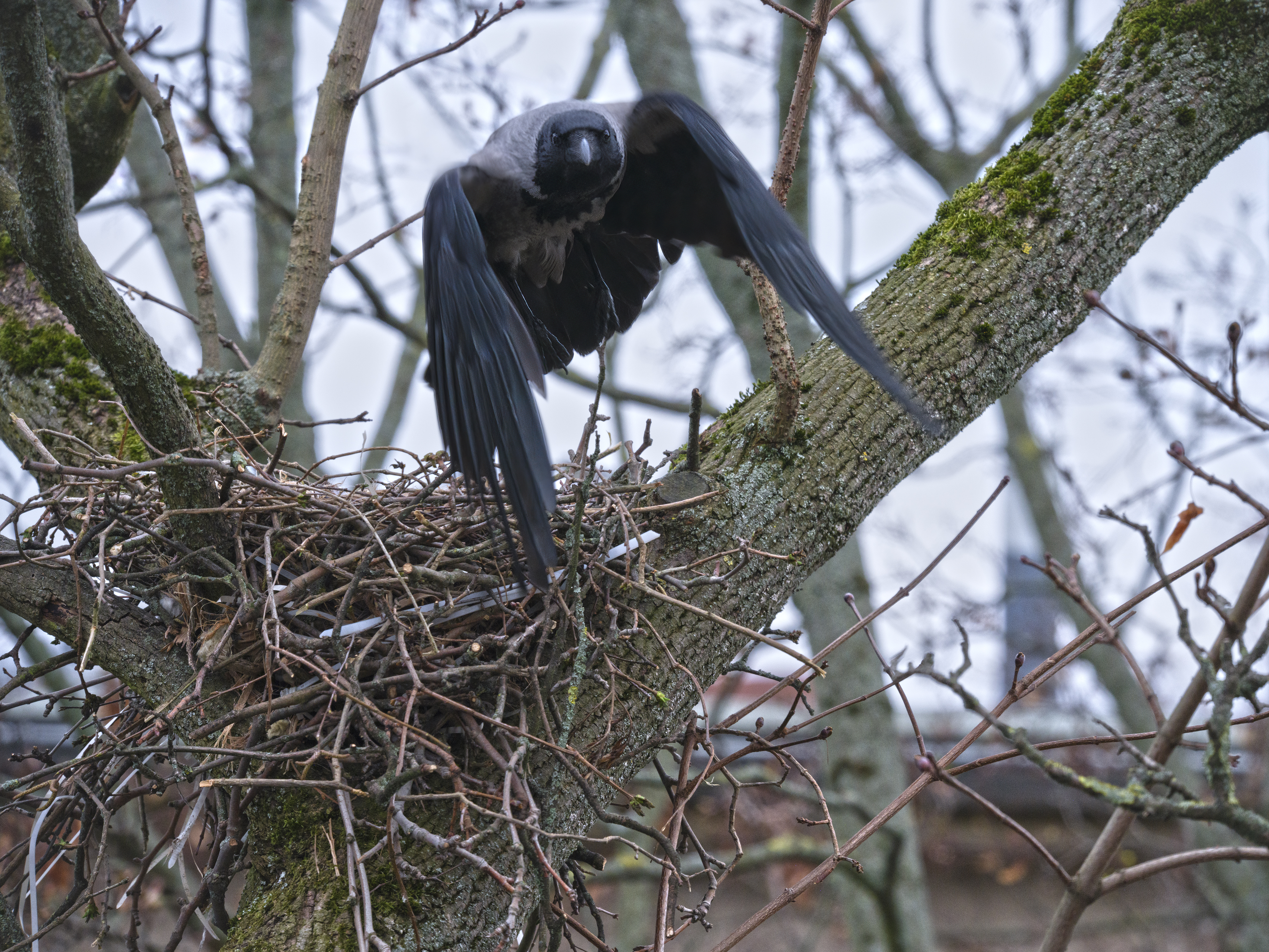 Abflug