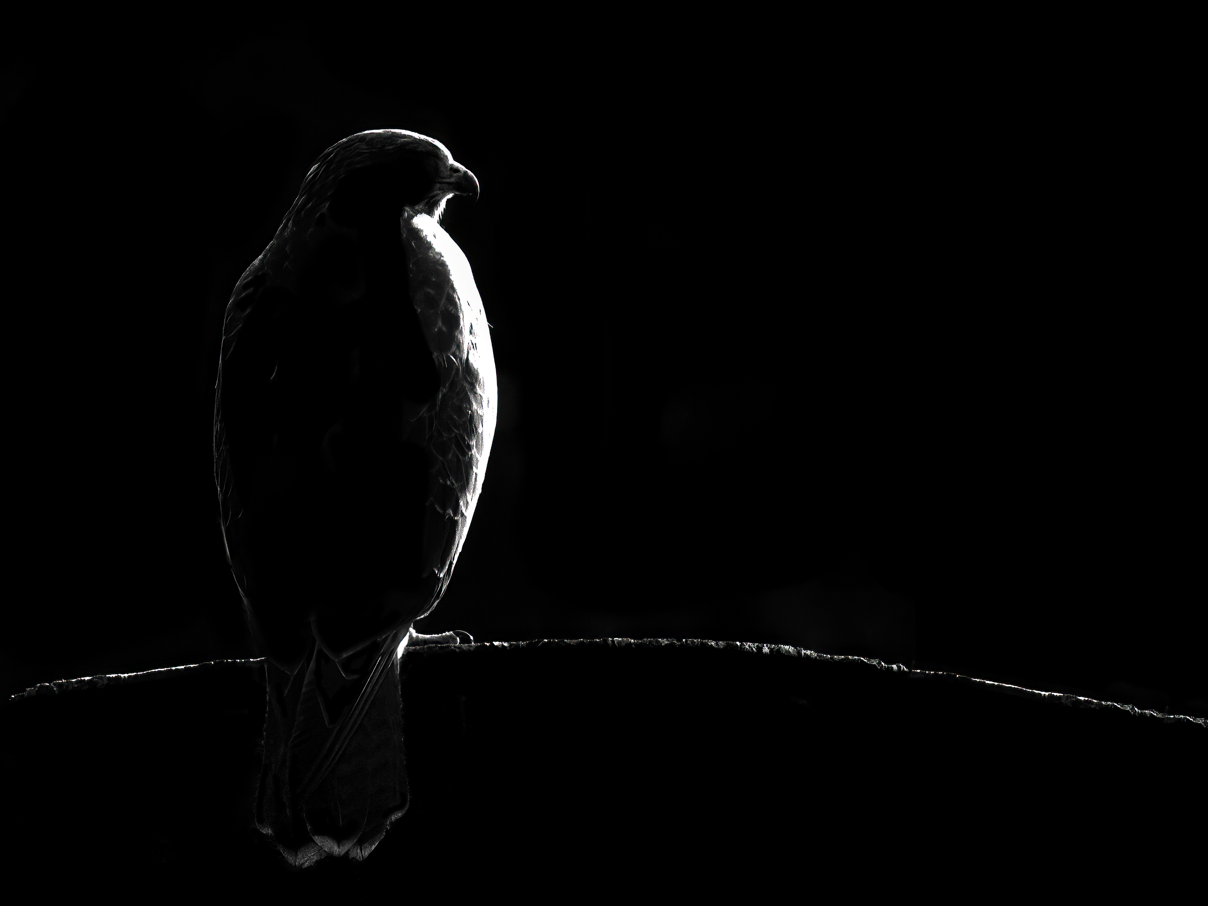 schwarzweiss