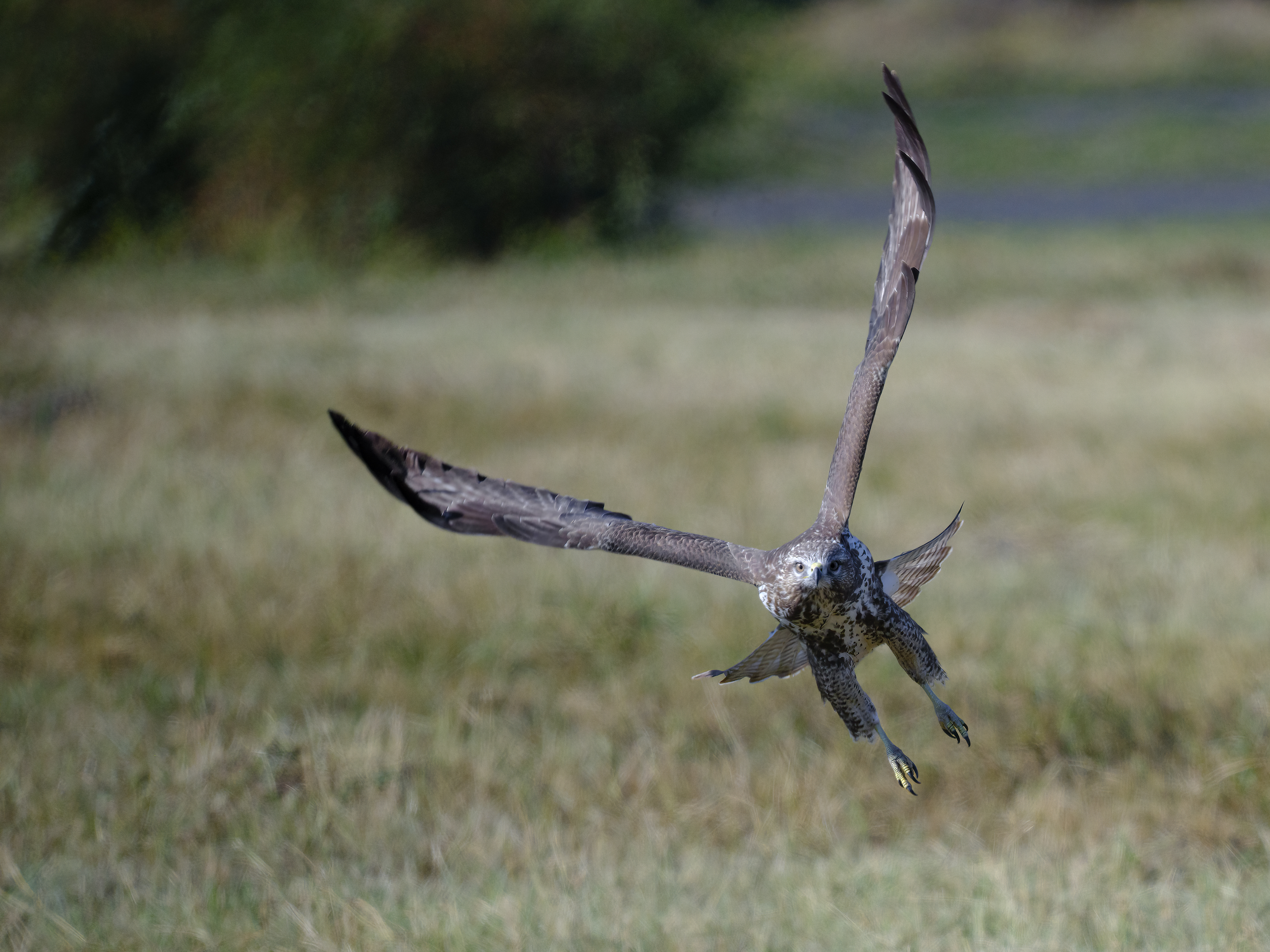 Abflug