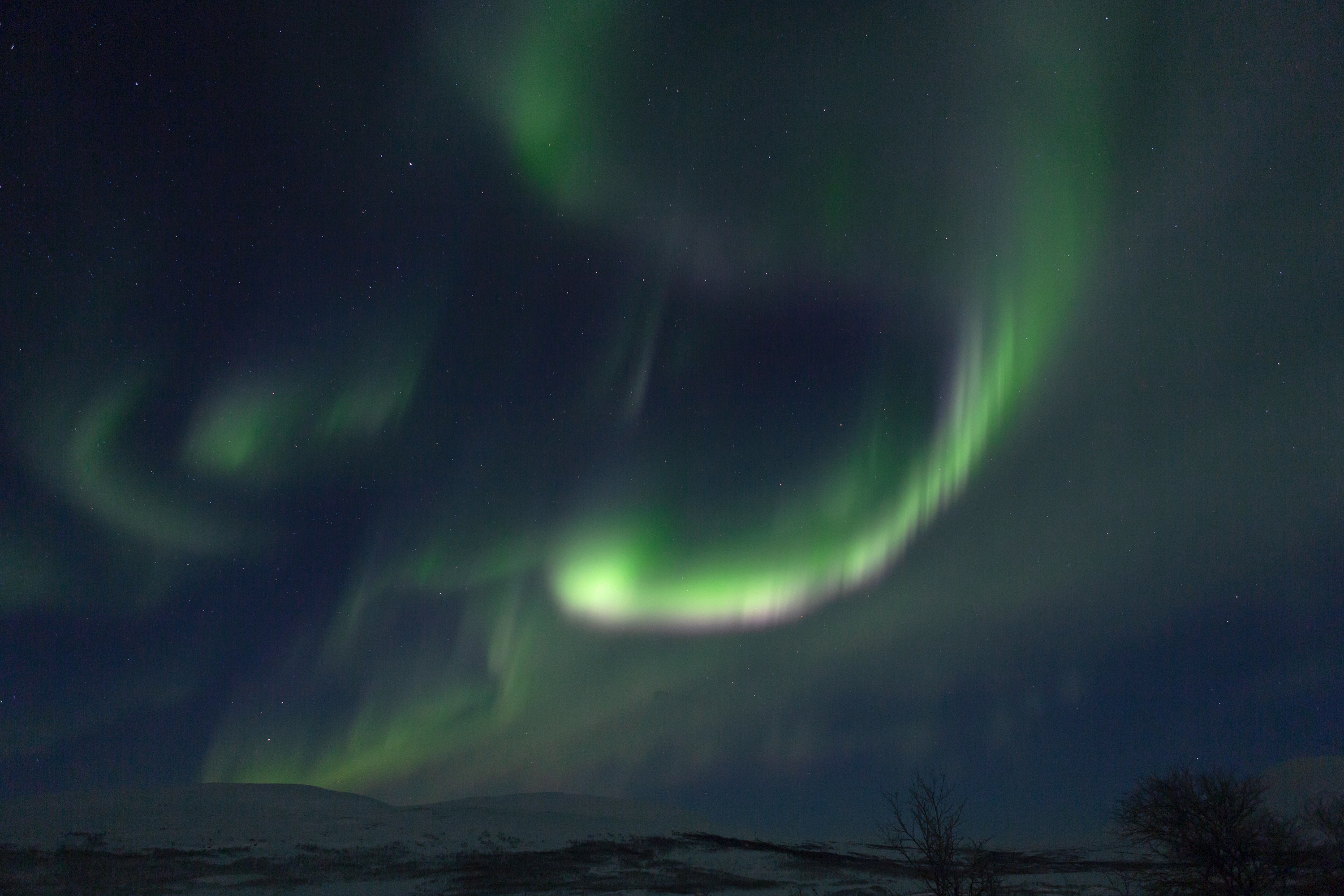 schwungvoll