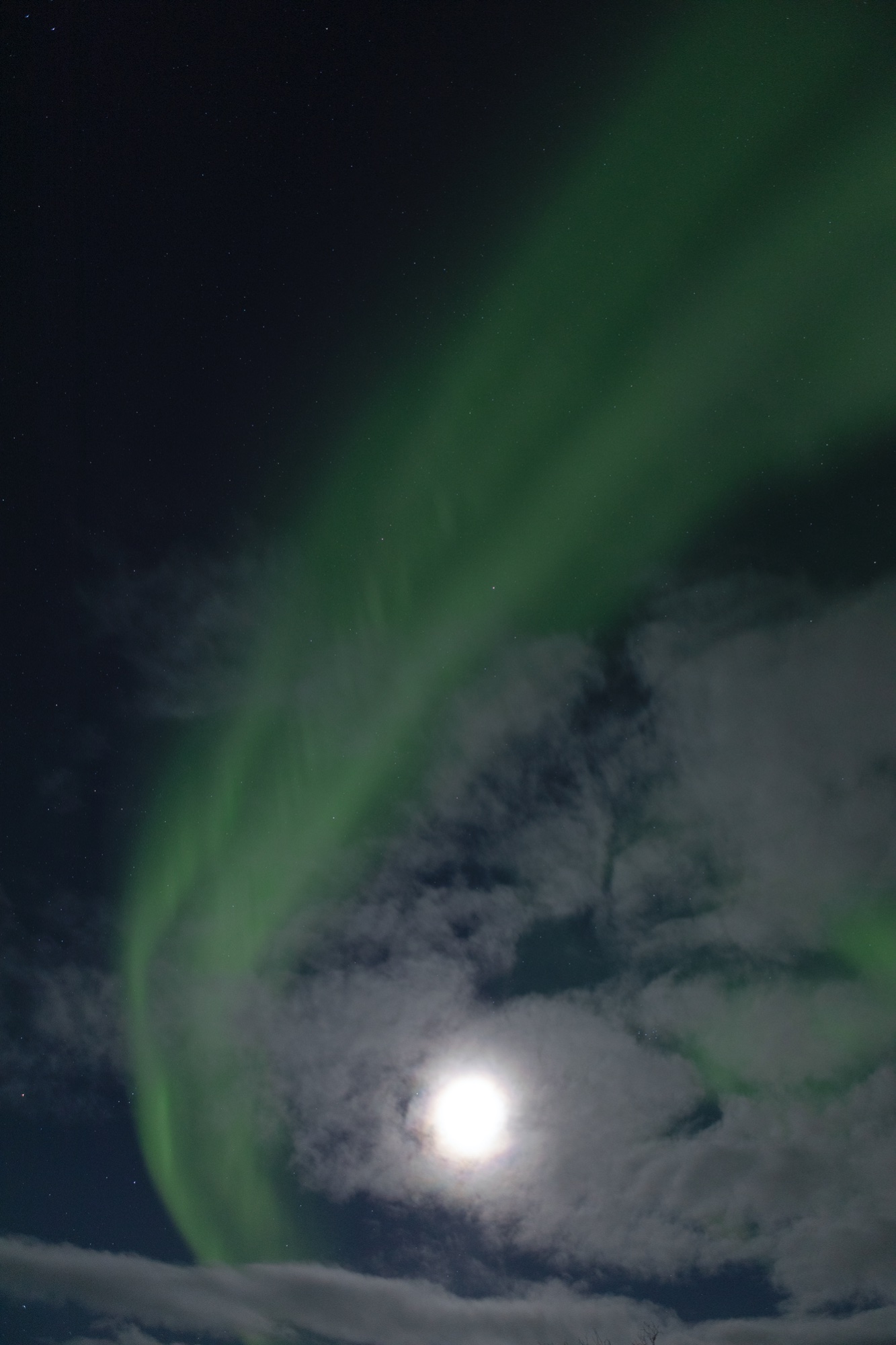 bei Vollmond