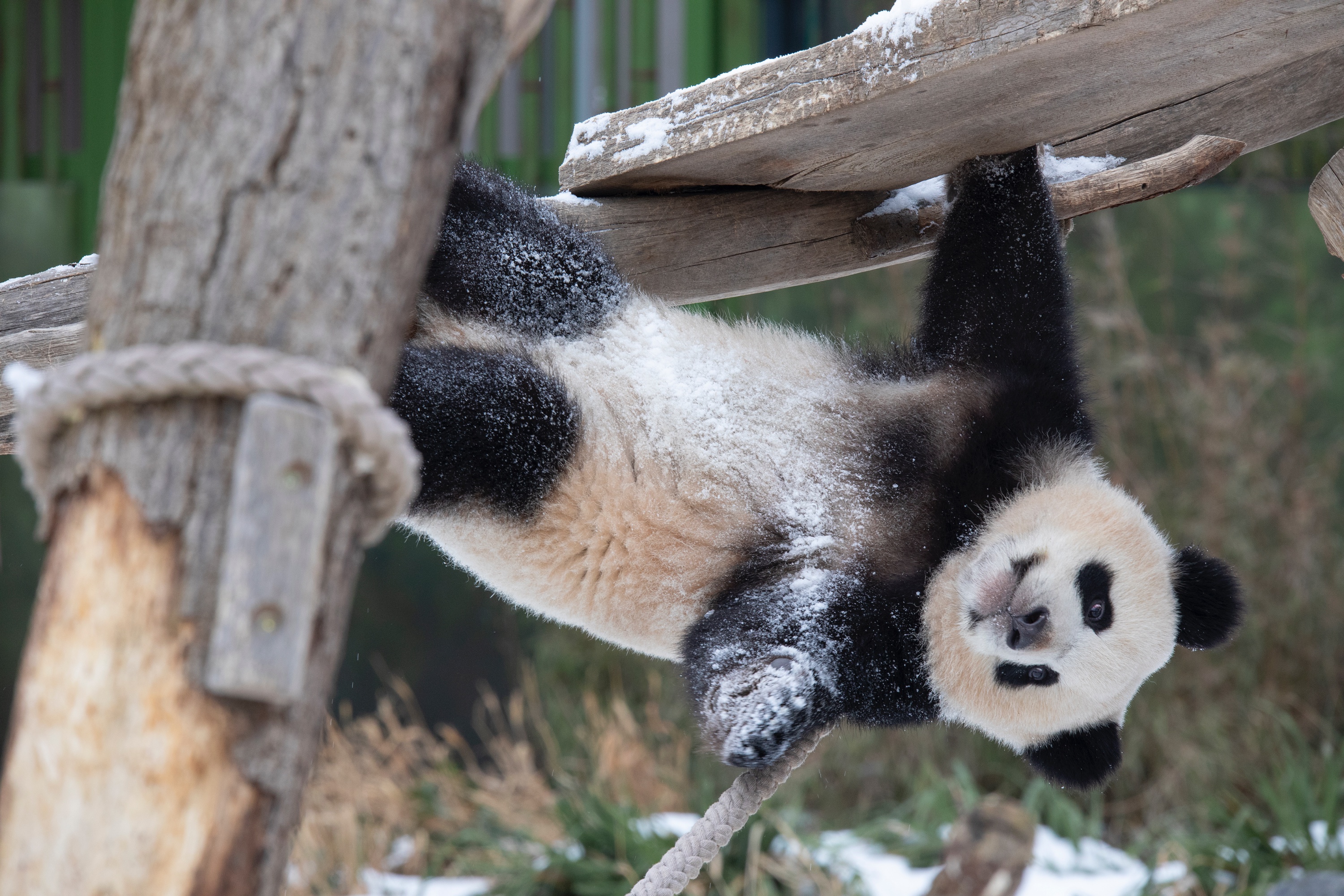 Zoo 15.02.2021 289