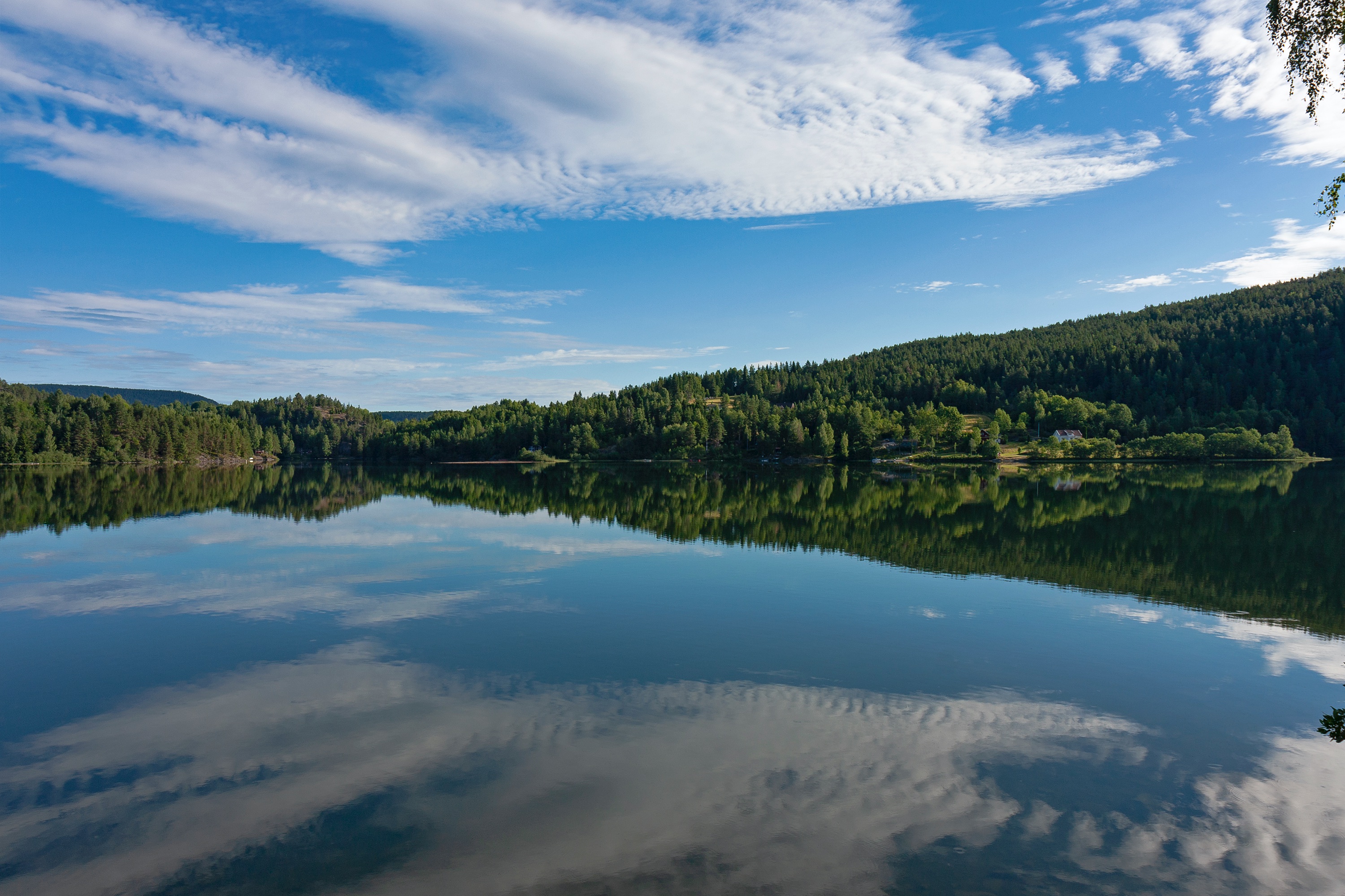 Spiegelung