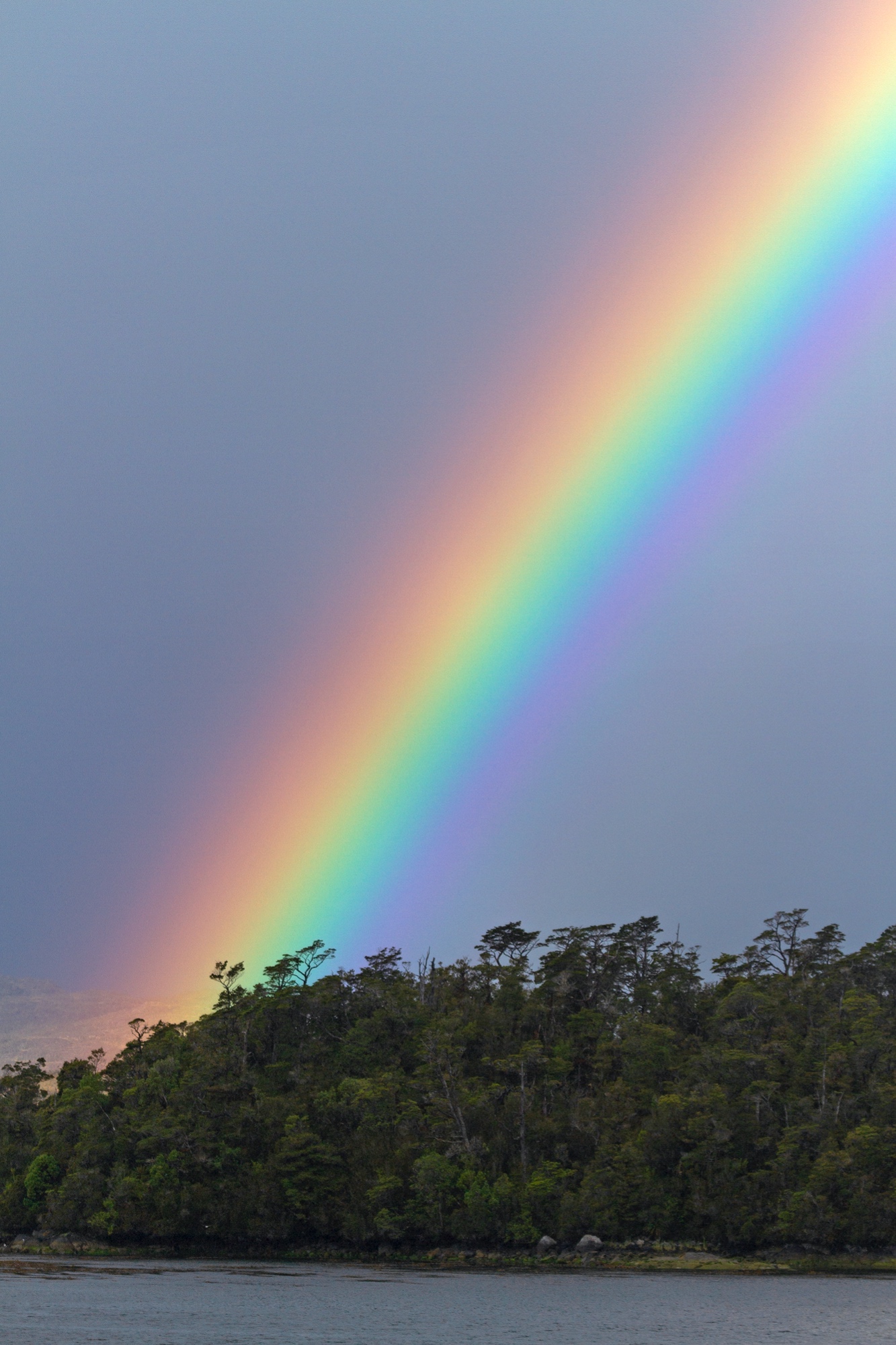 Regenbogen