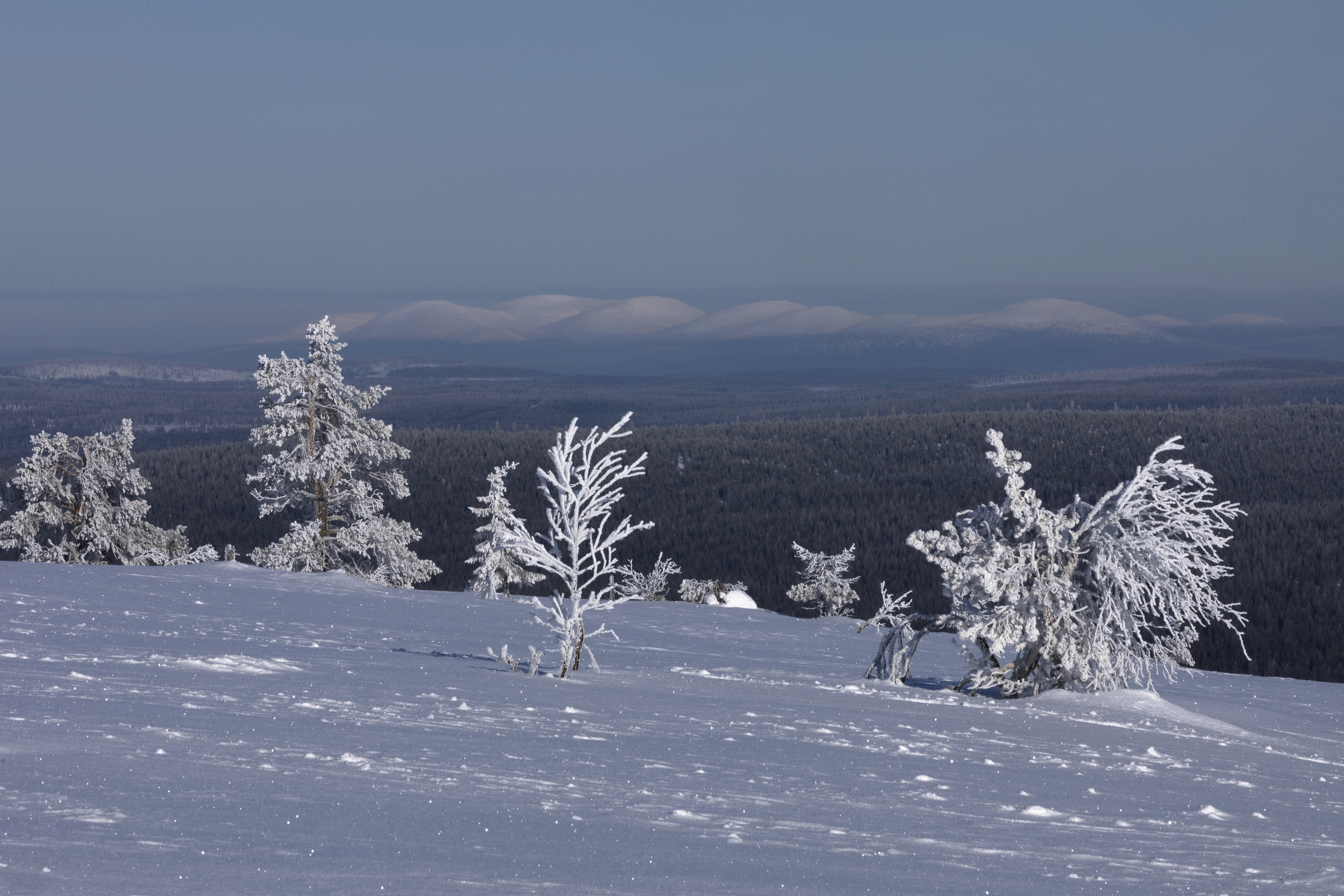 Blick auf den Pallastunturi Nationalpark, Finnland