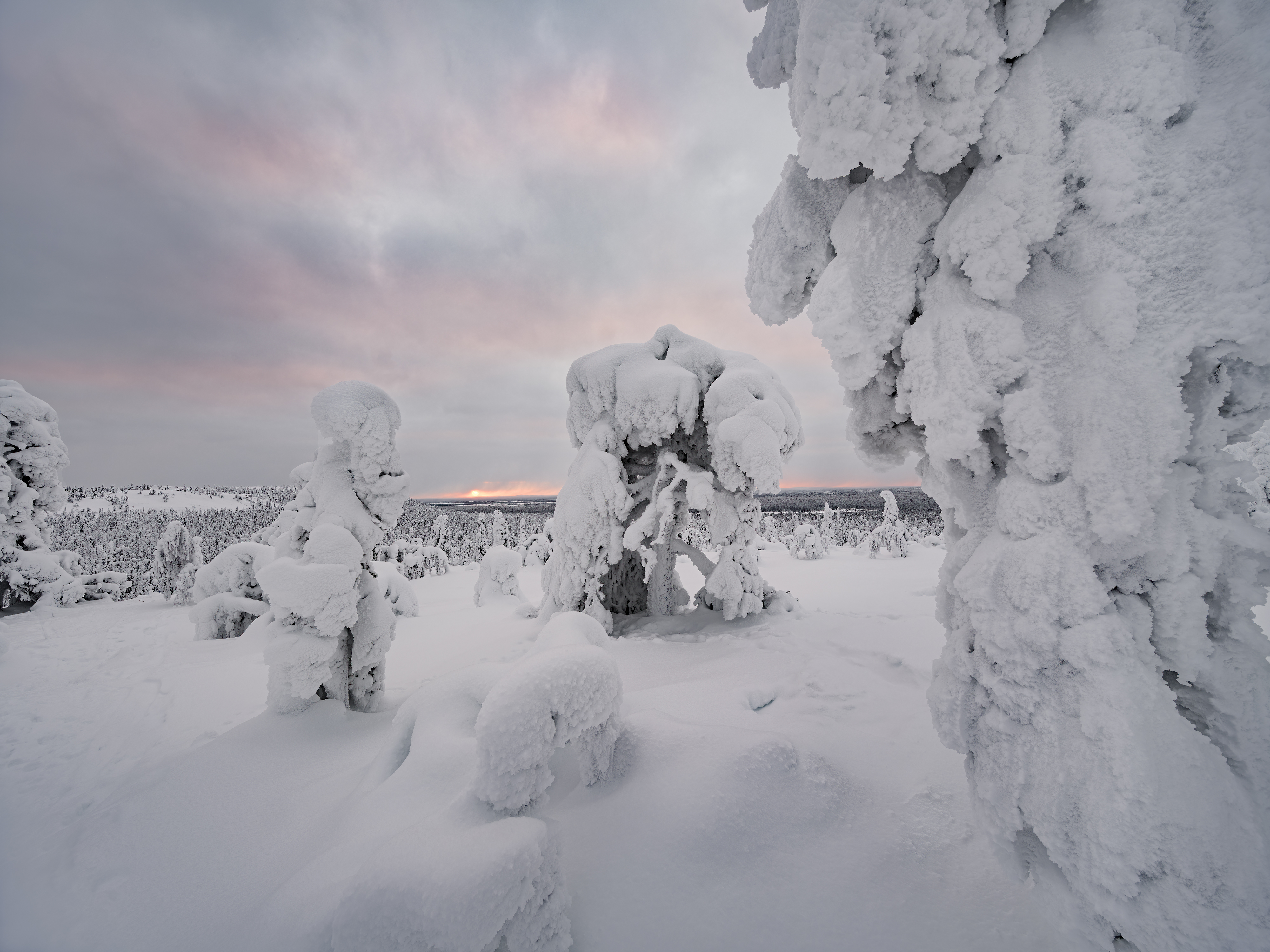 Bewölkte Wintermärchen in Finnland