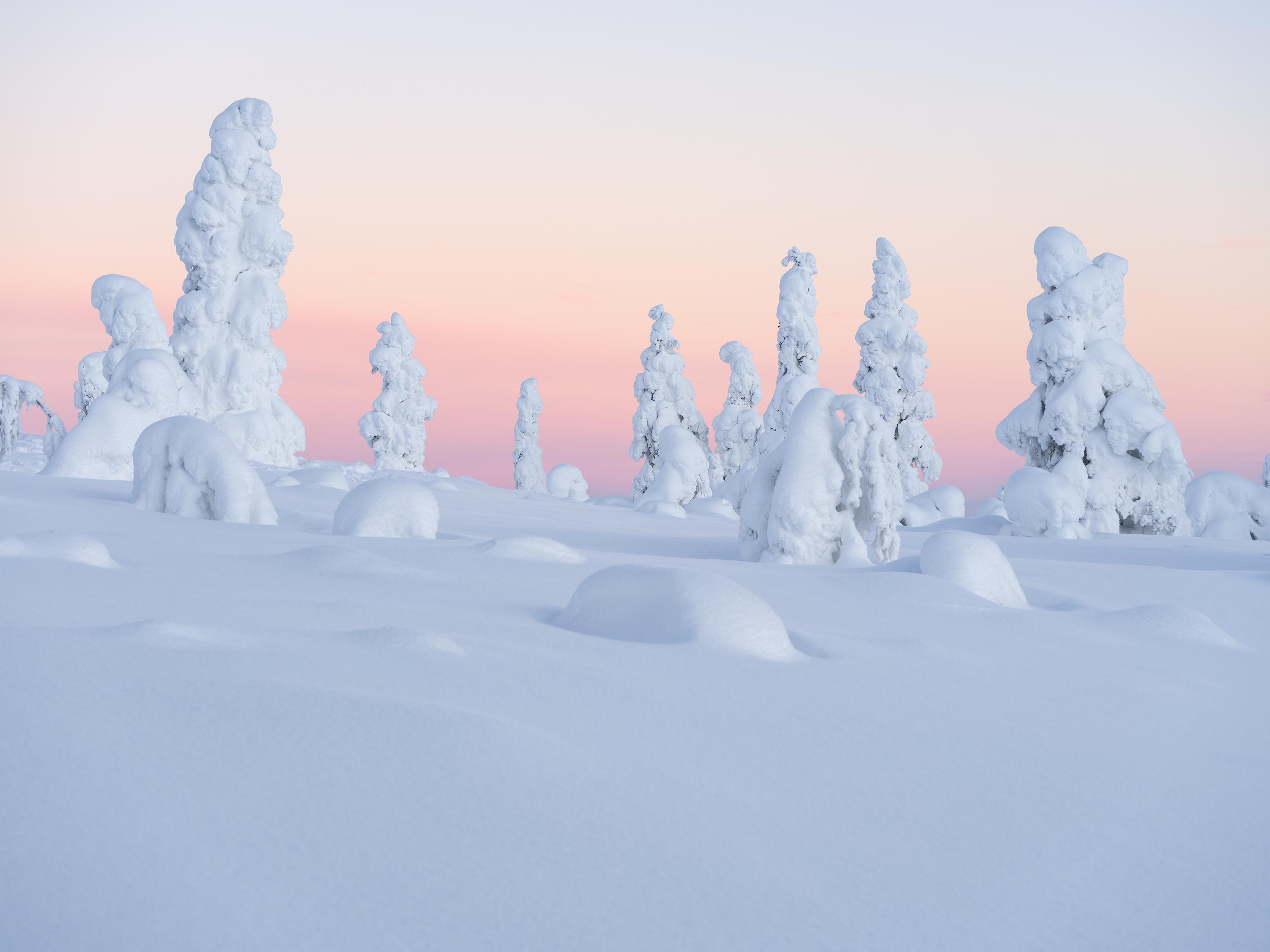 Auf dem Fjell, Finnland
