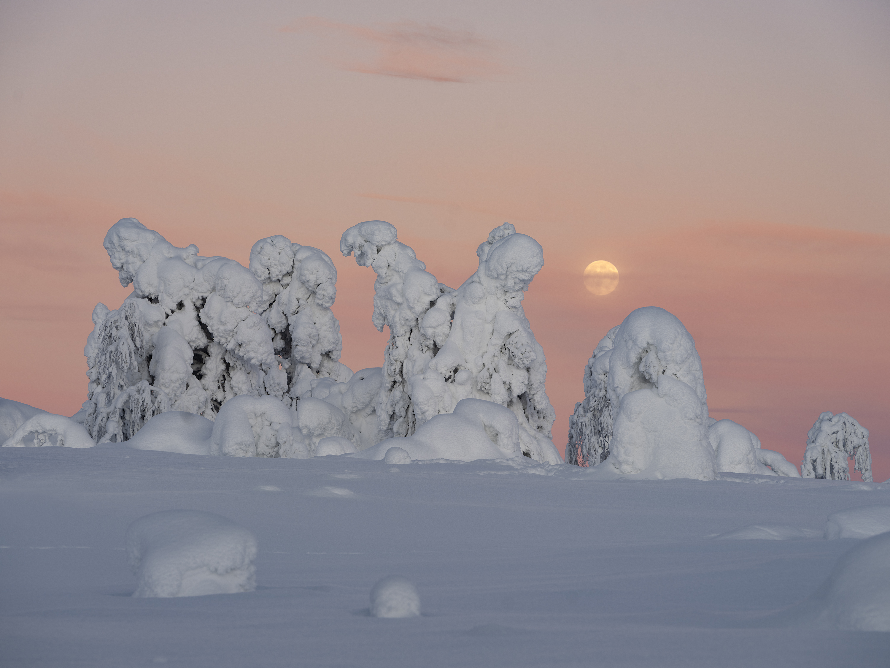 Winterskulpturen