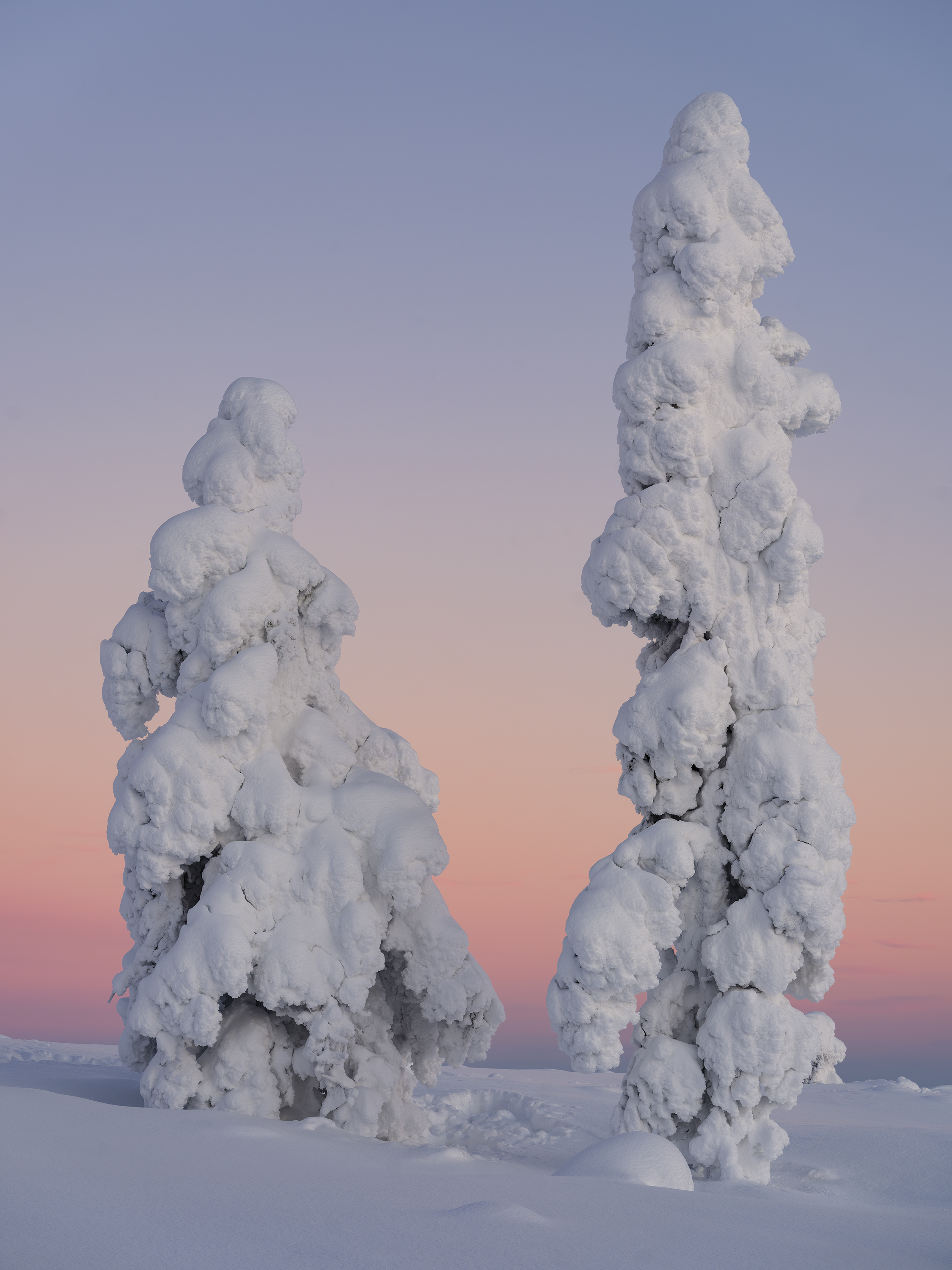Schneekruste
