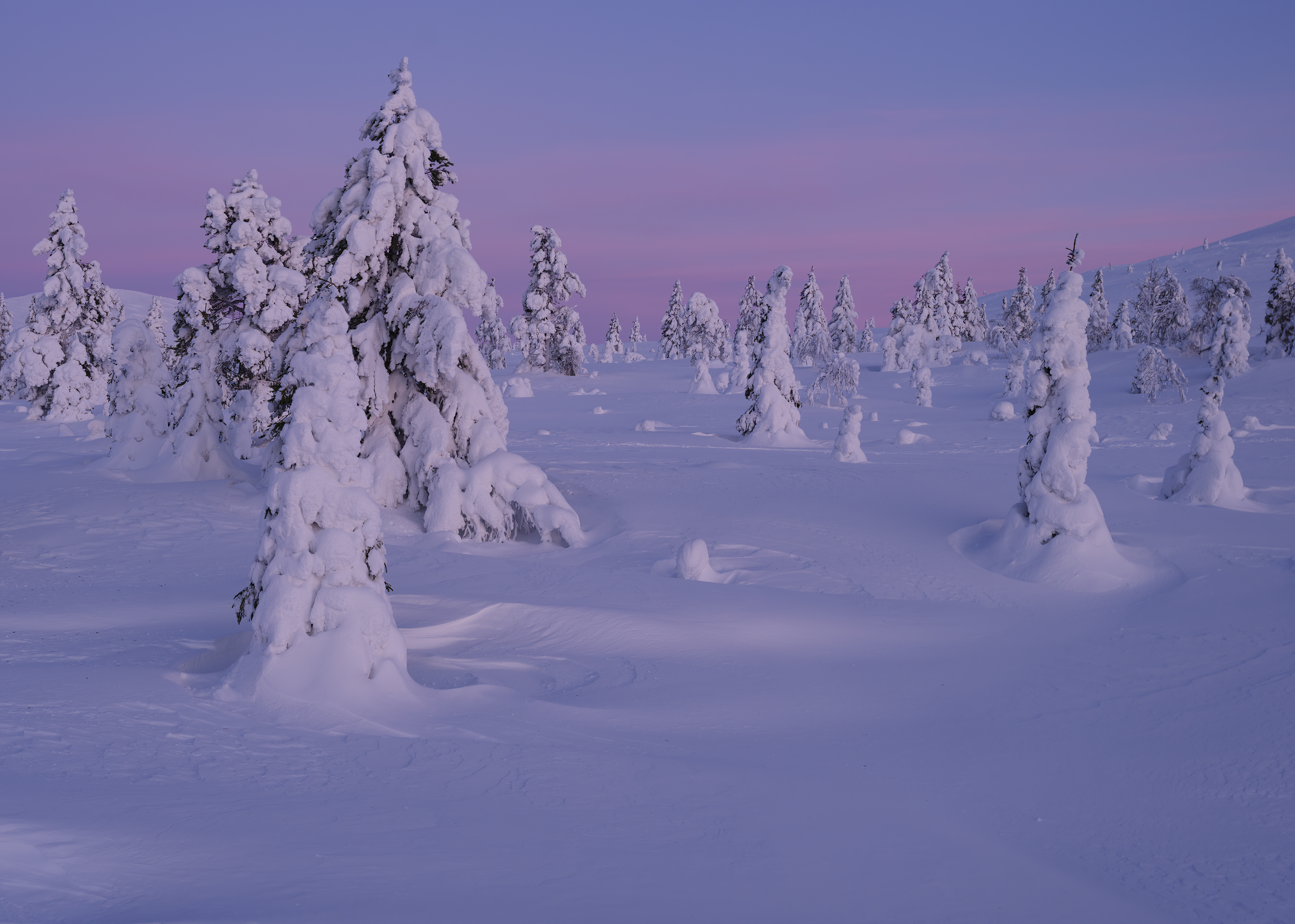 Morgendämmerung in finnisch Lappland