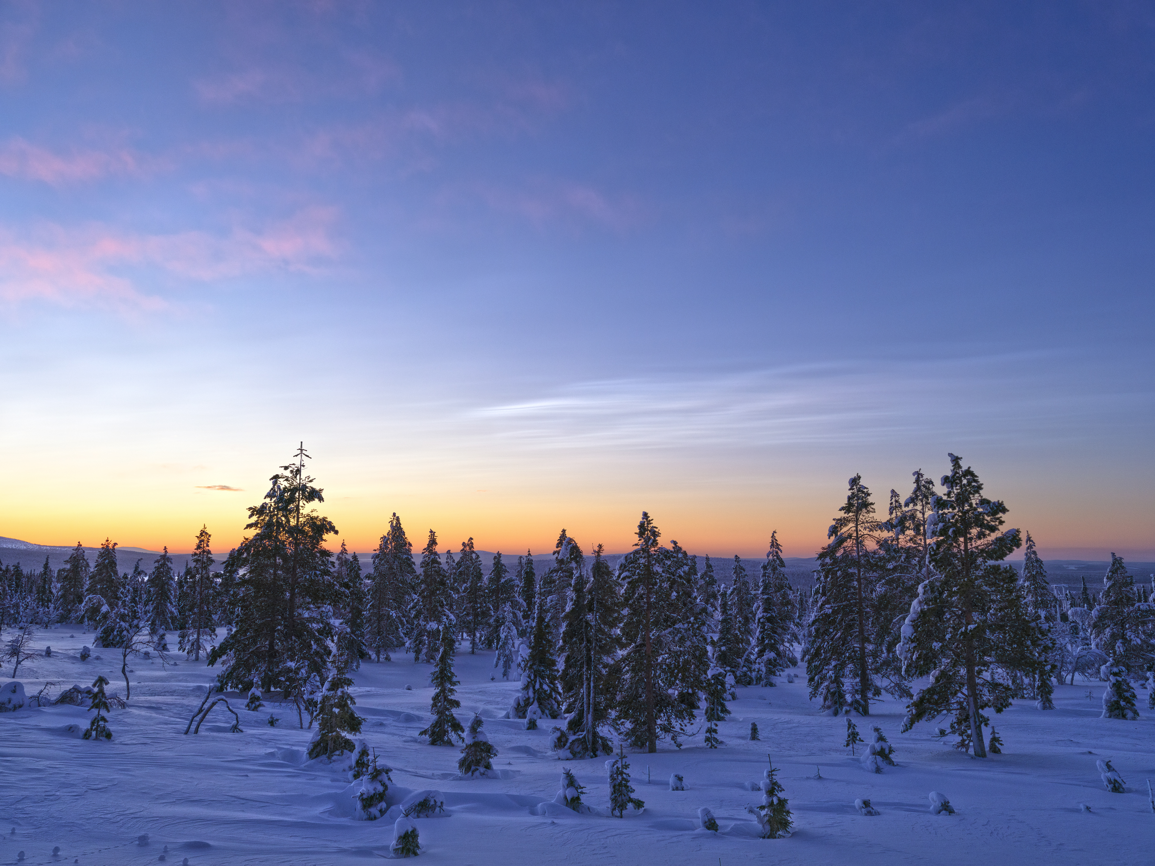 Leuchtende Nachtwolken am Morgen. Pallastunturi NP, Finnland