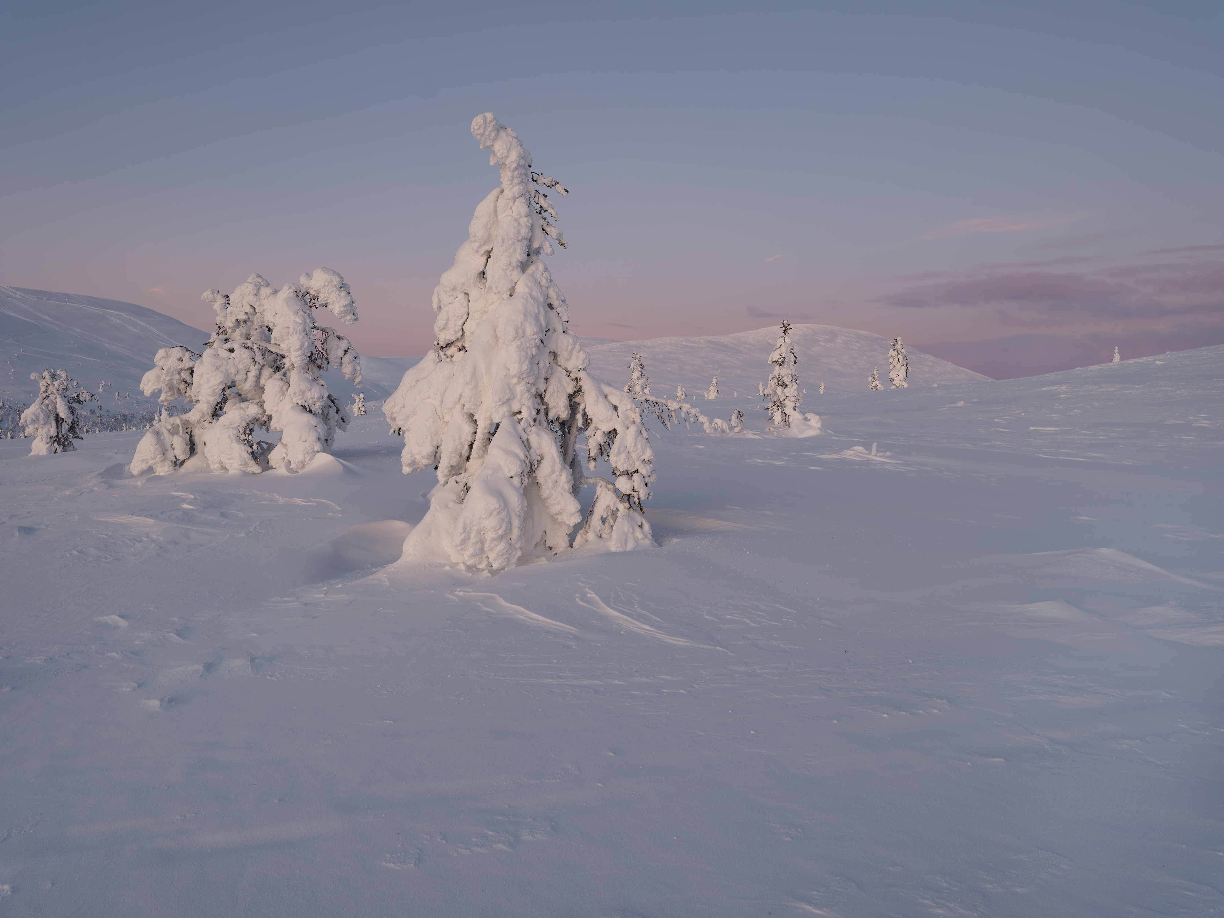 Morgendämmerung, Finnland