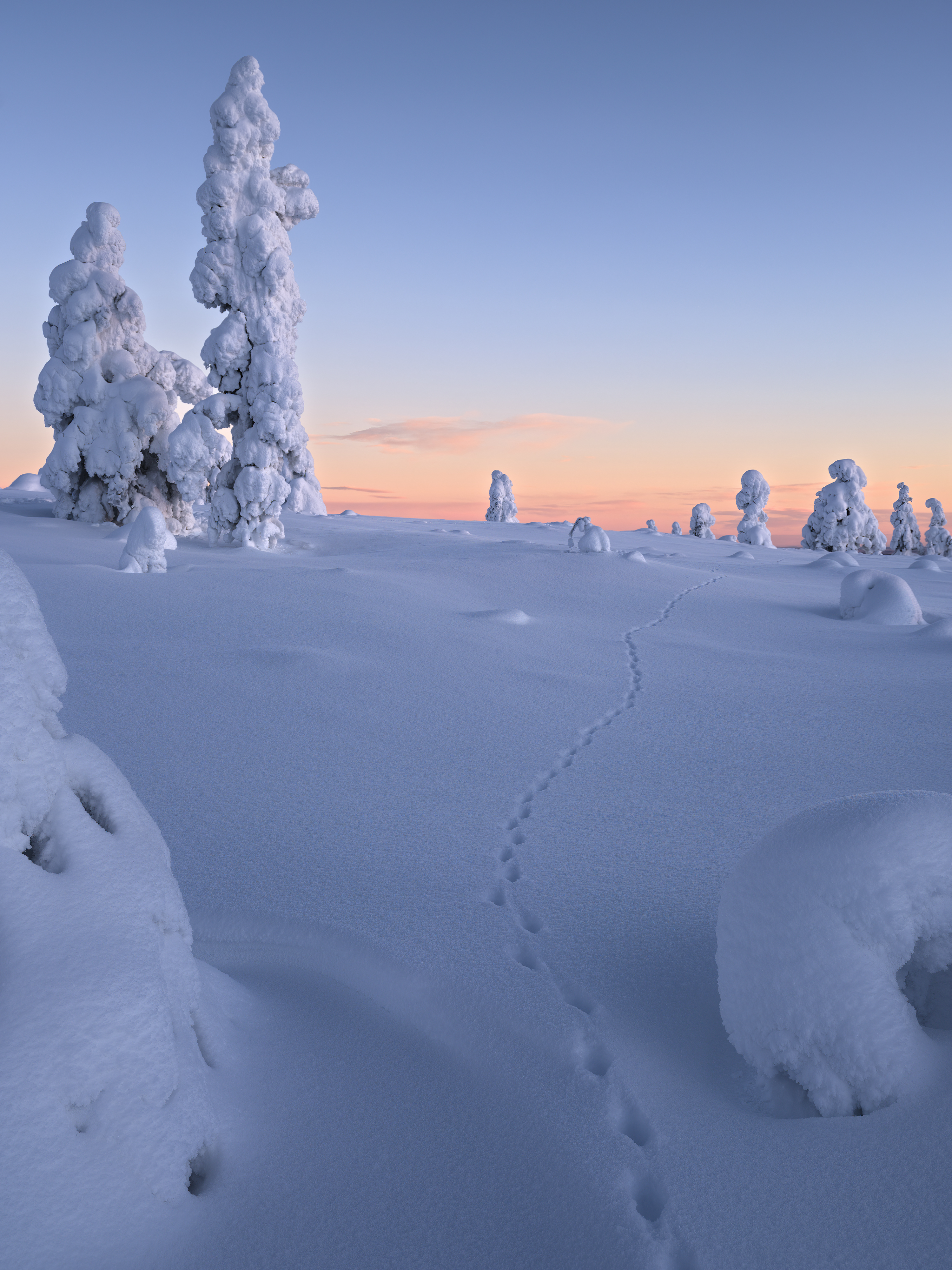 Spuren im Schnee