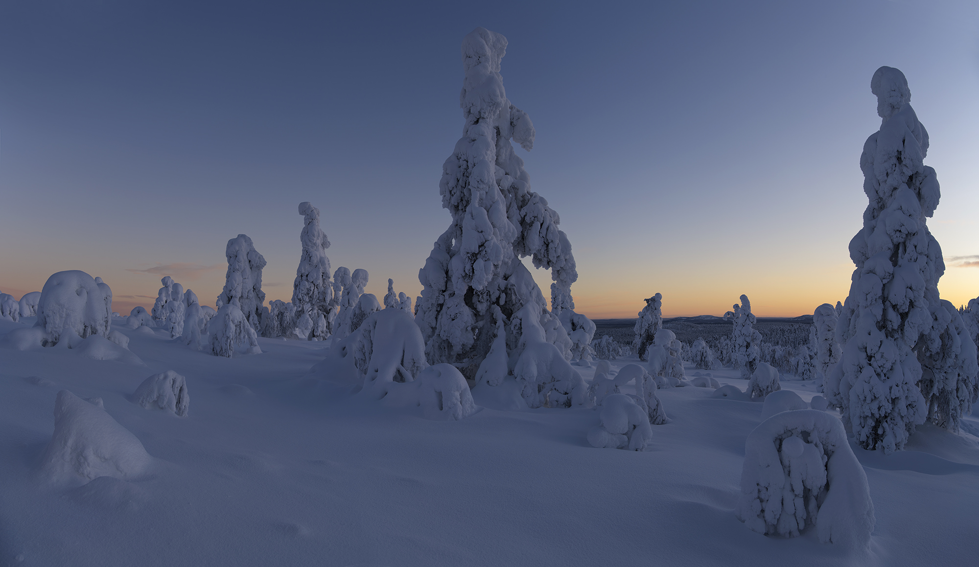 Auf dem Fjell