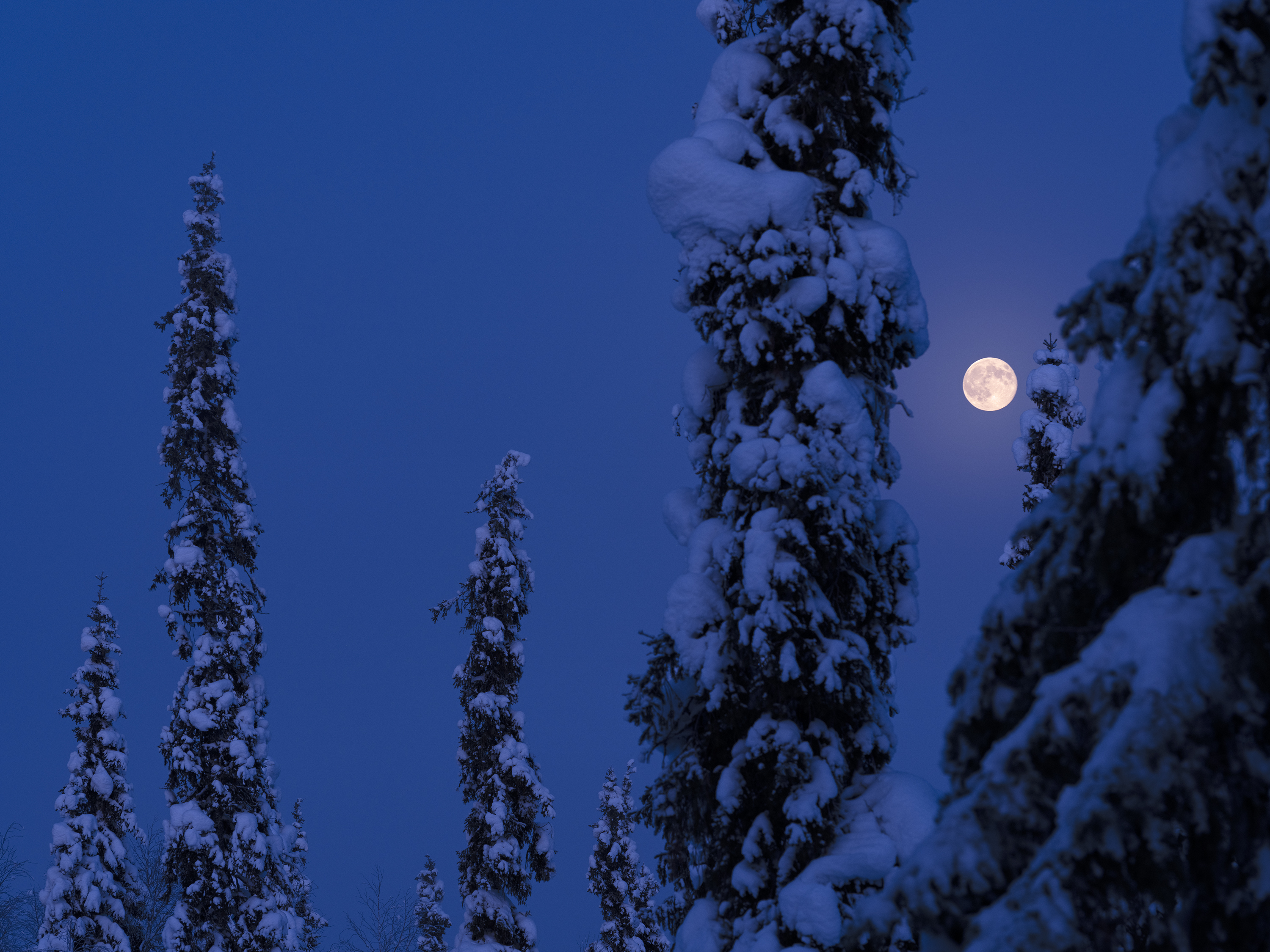 Vollmond