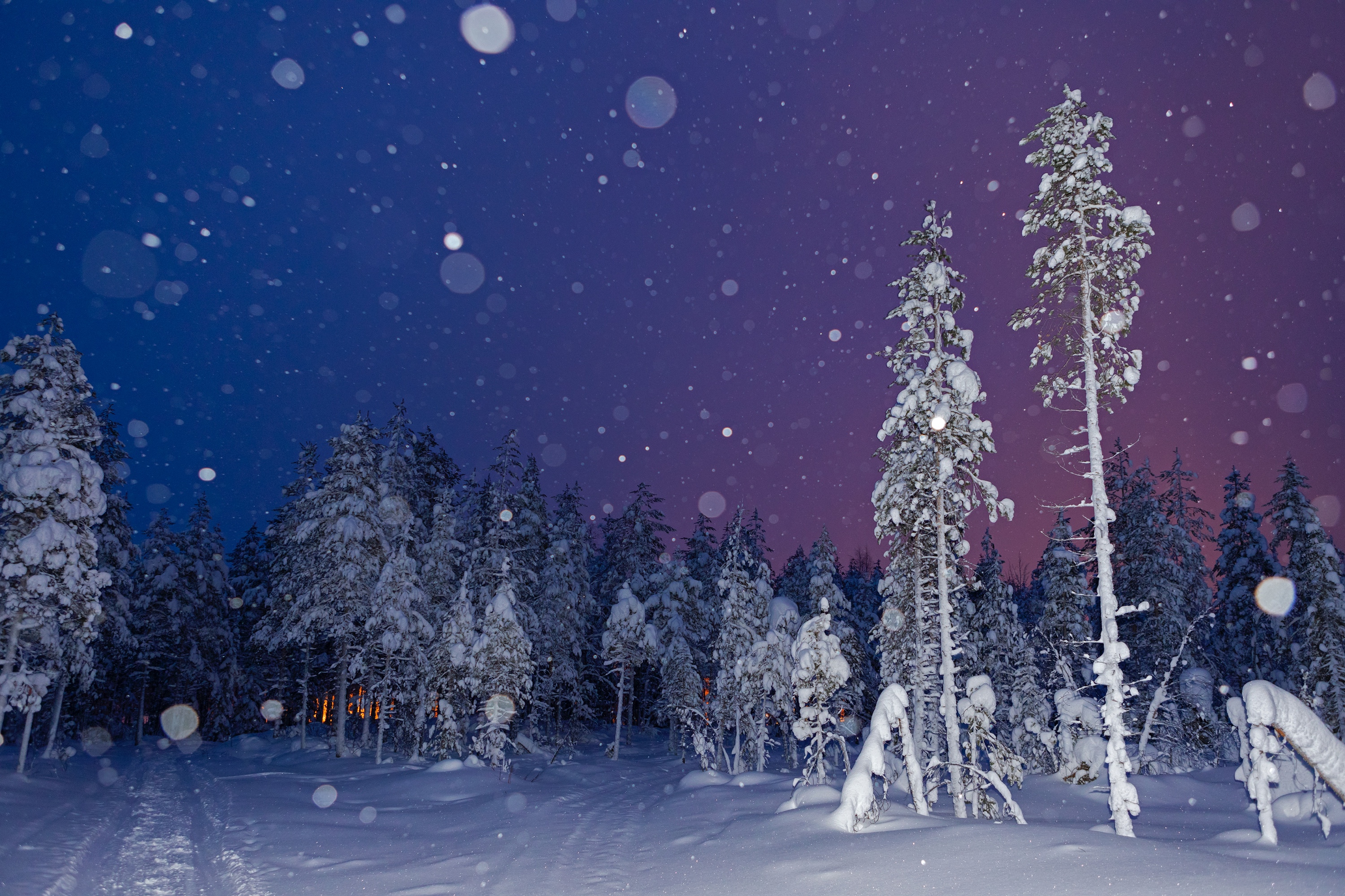 Nachtstimmung bei Schneefall, Ranua, Finnland