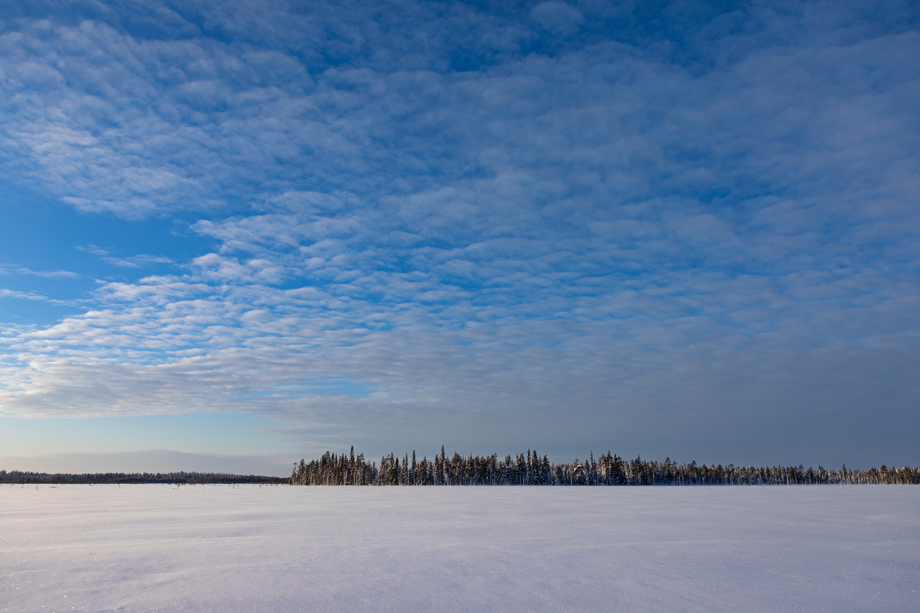 Die Weite Finnlands bei Ranua, knapp unterhalb des Polarkreises