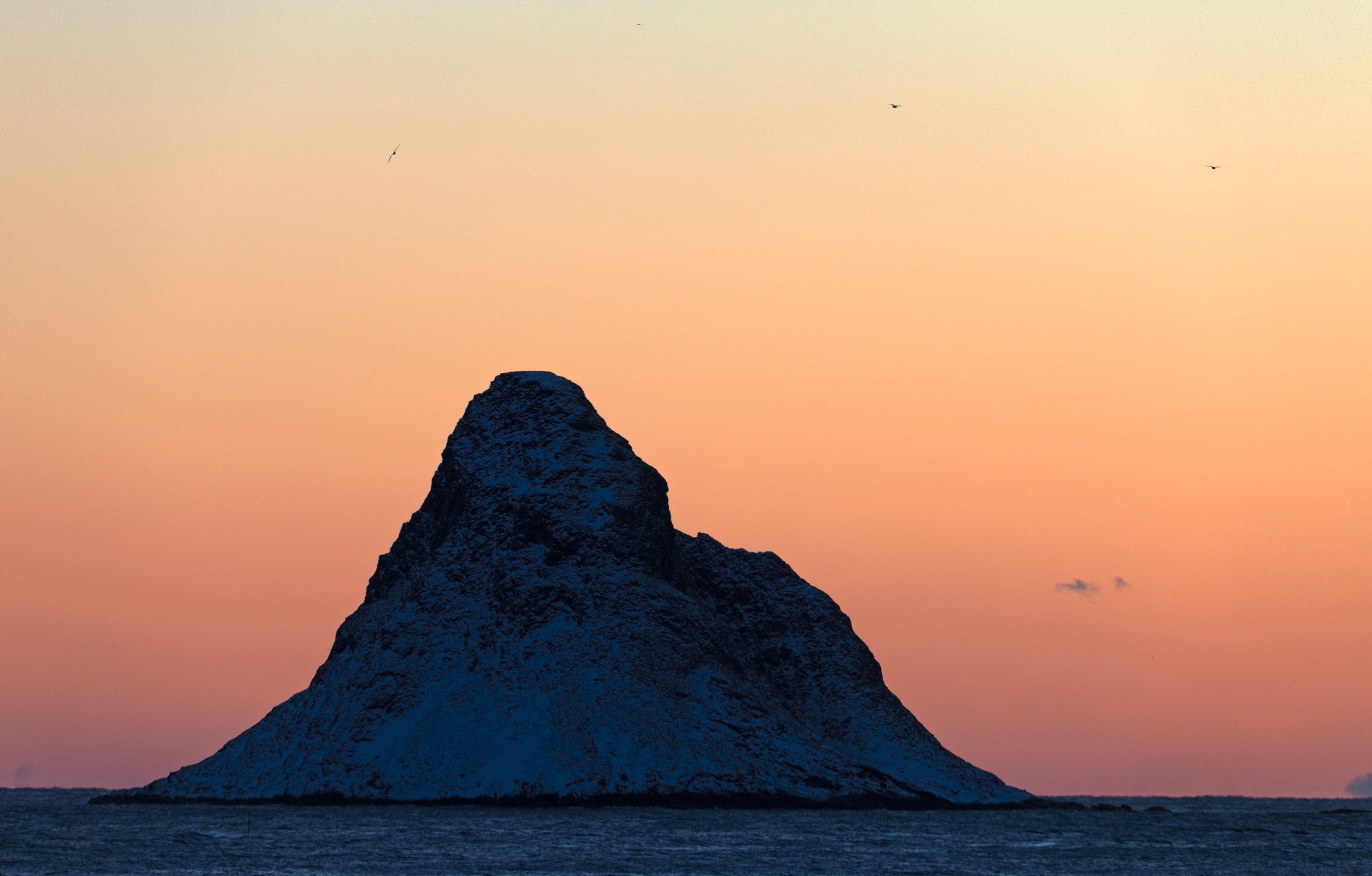 Vogelinsel Bleiksøya