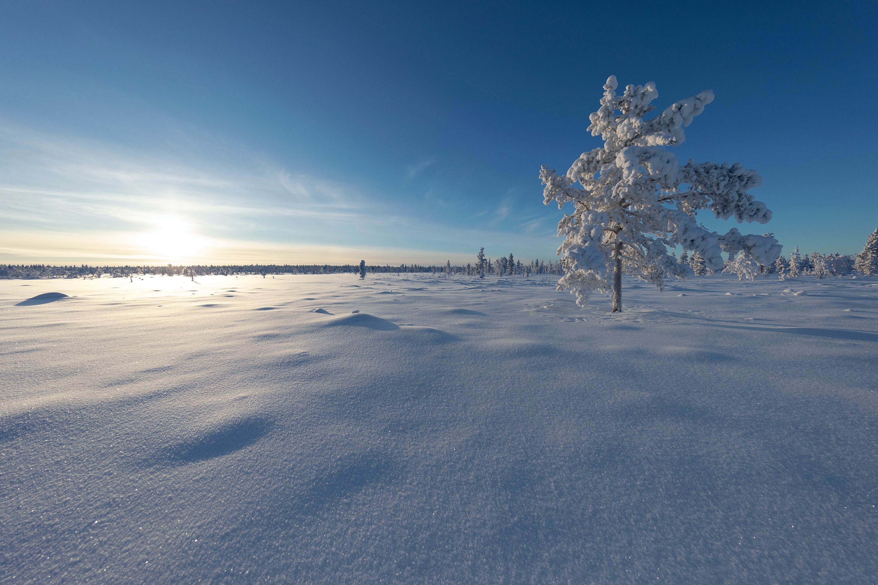 Winterwunder(Finn)land